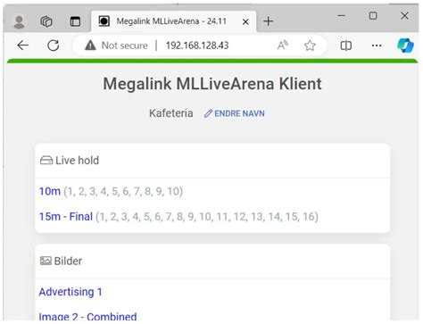 mllivearena|MLLive.